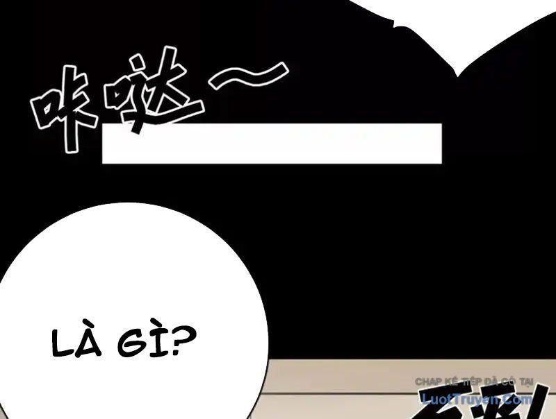 Chapter 23