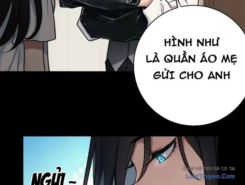 Chapter 23