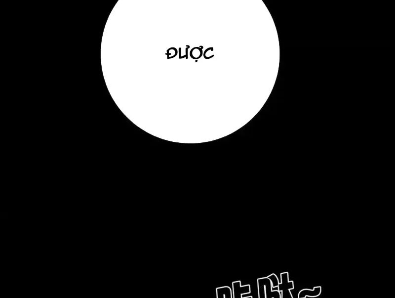 Chapter 23