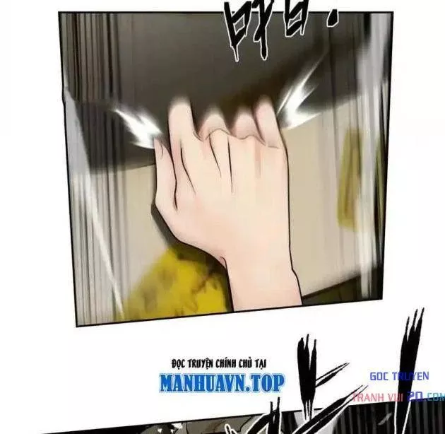 Chapter 26