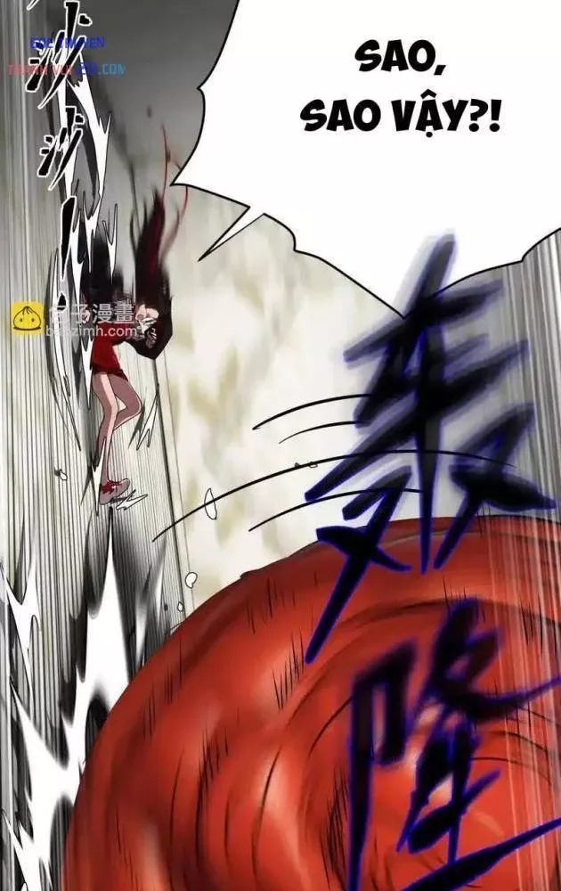 Chapter 26
