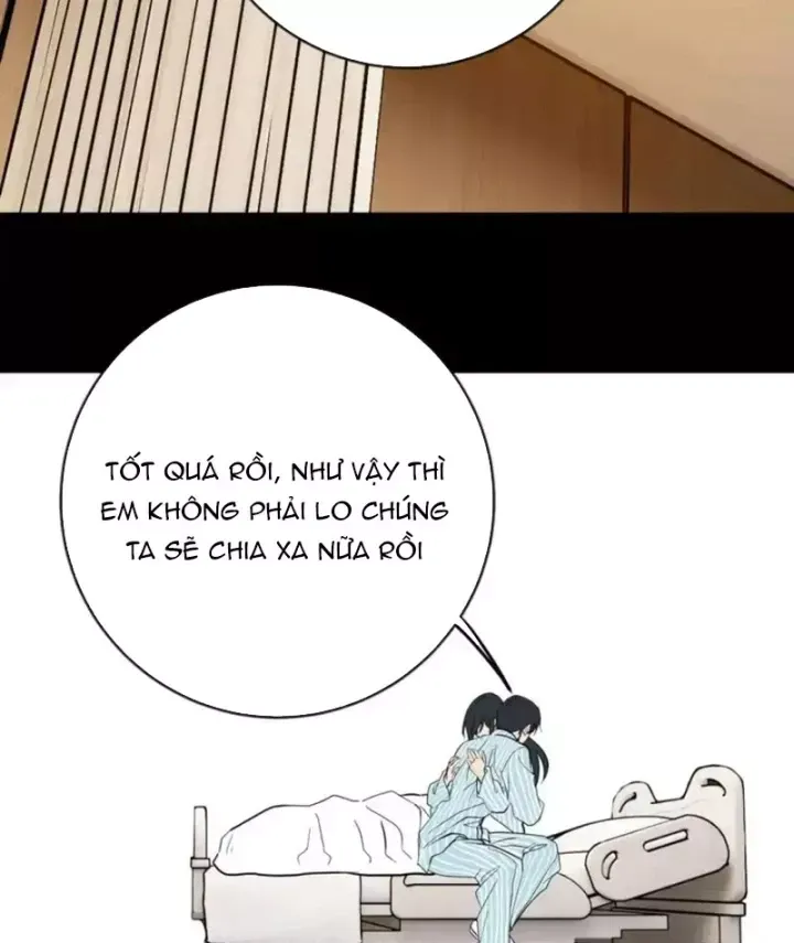 Chapter 29