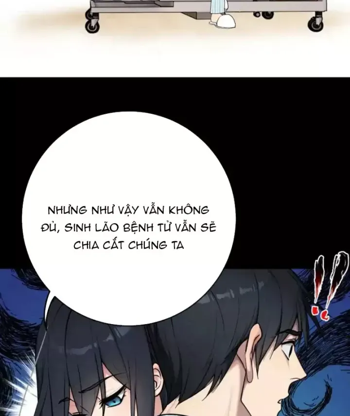 Chapter 29