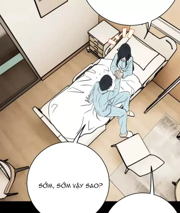 Chapter 29