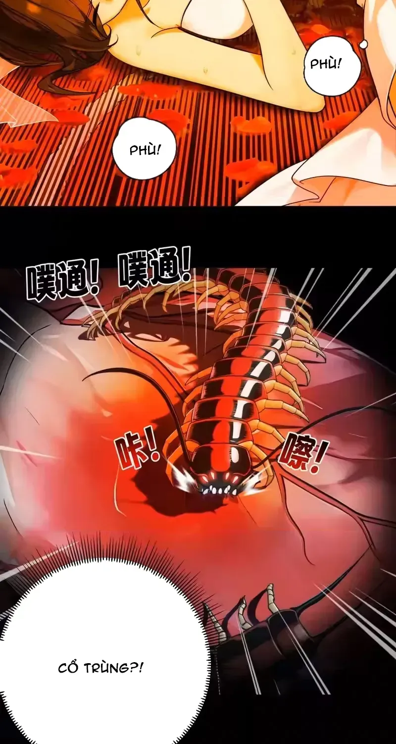 Chapter 31