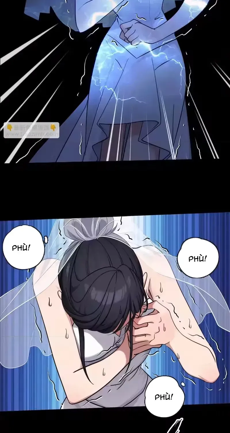 Chapter 31