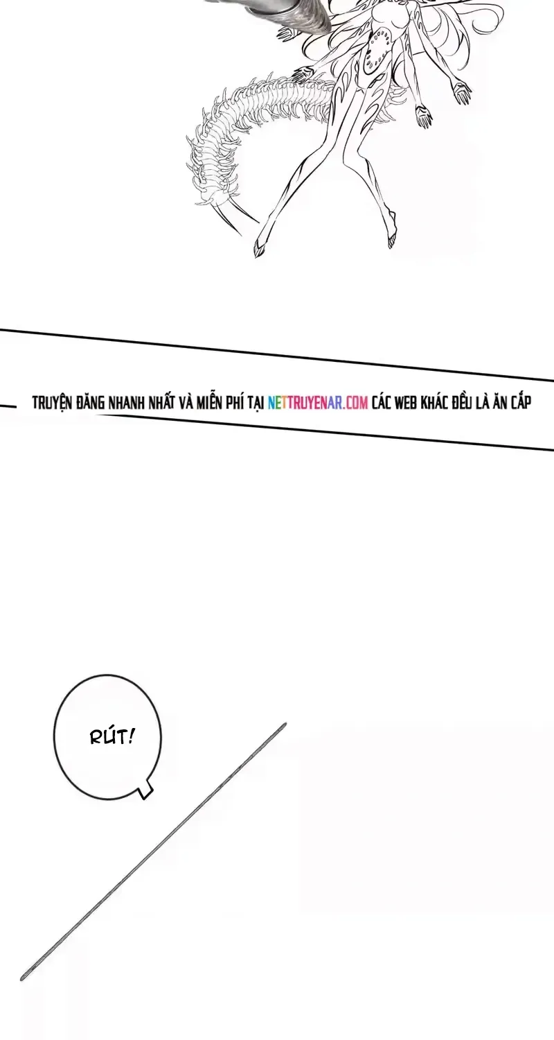 Chapter 33