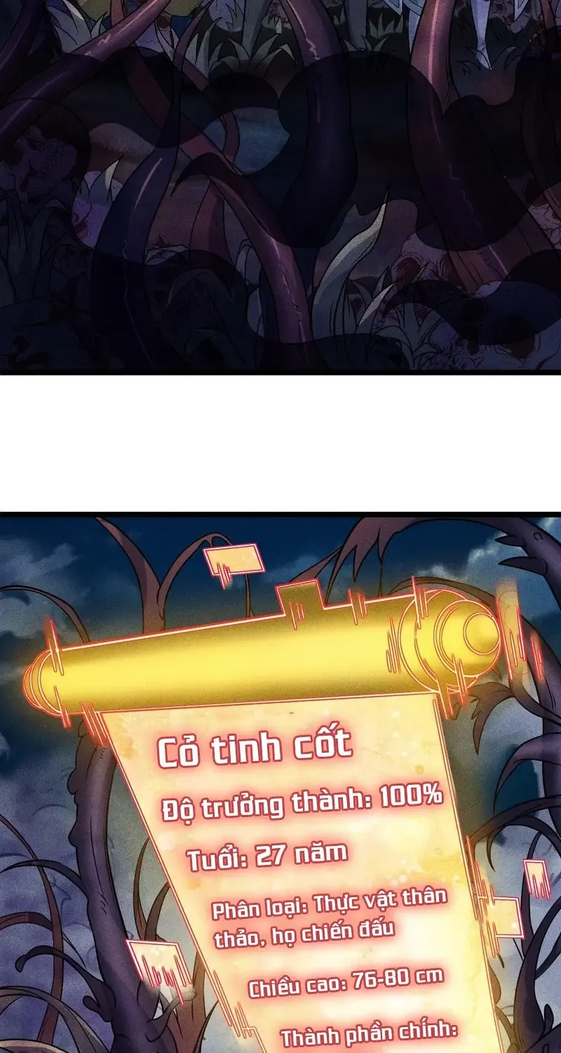 Chapter 4