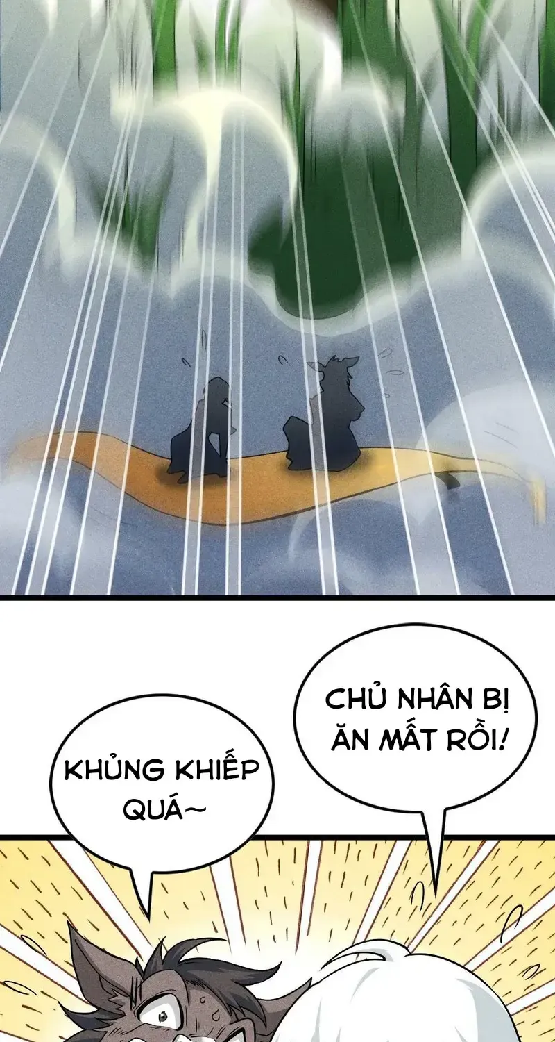 Chapter 6