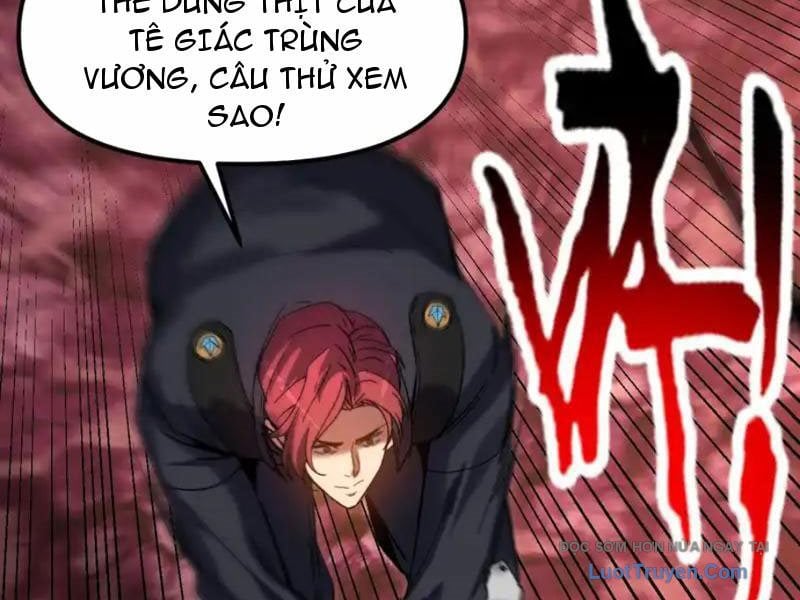 Chapter 11