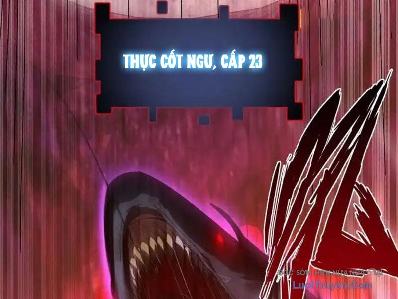 Chapter 11