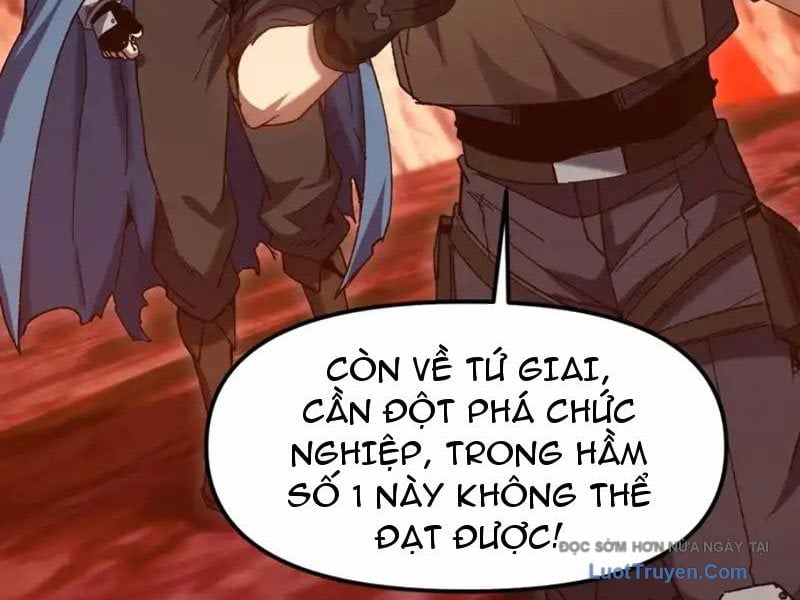 Chapter 11
