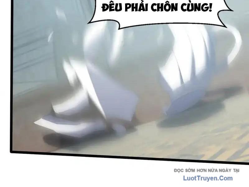 Chapter 11