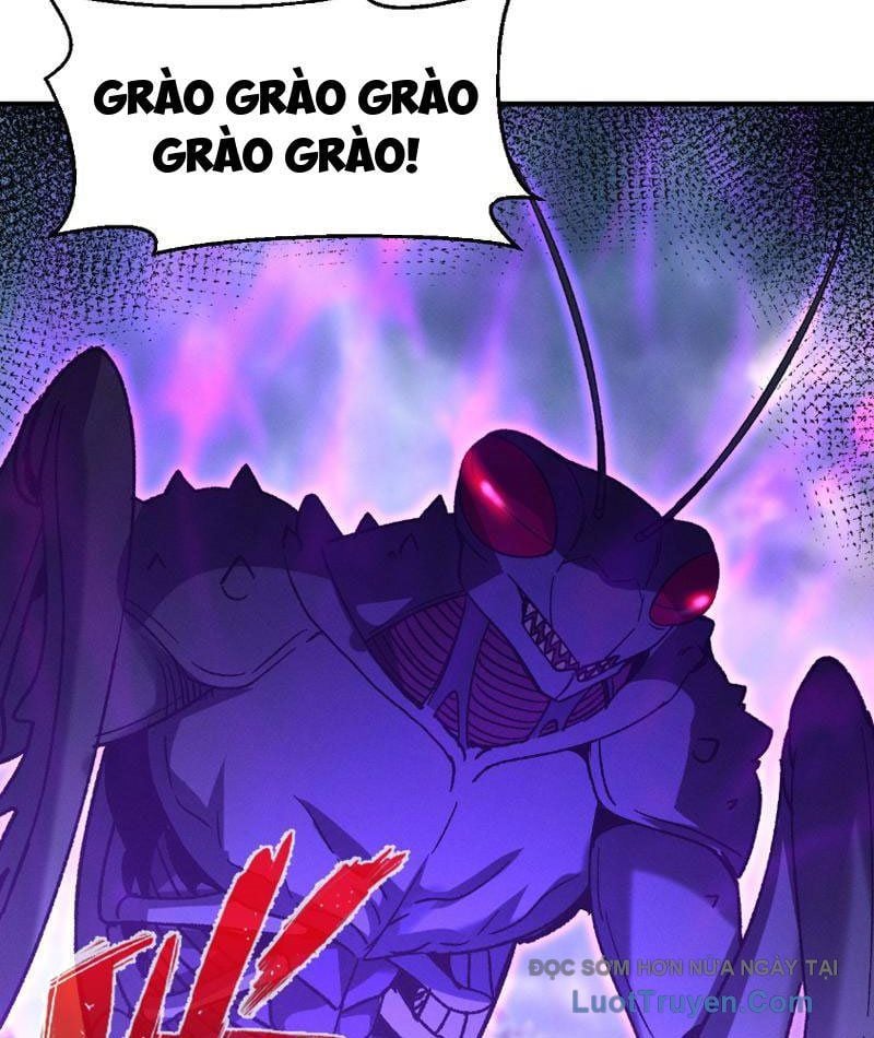 Chapter 13