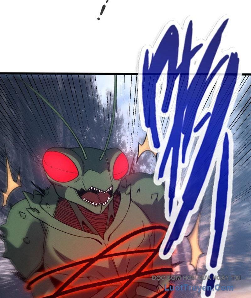 Chapter 13