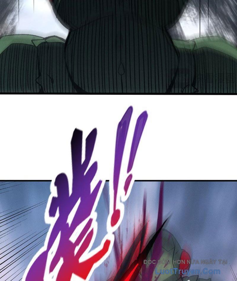 Chapter 13