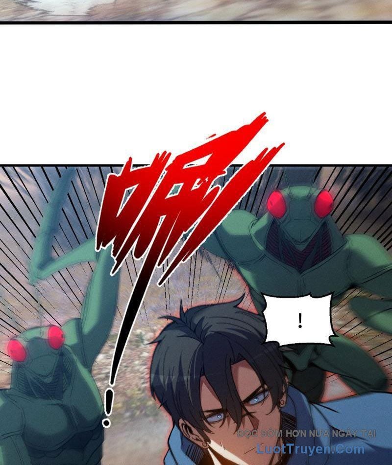 Chapter 13