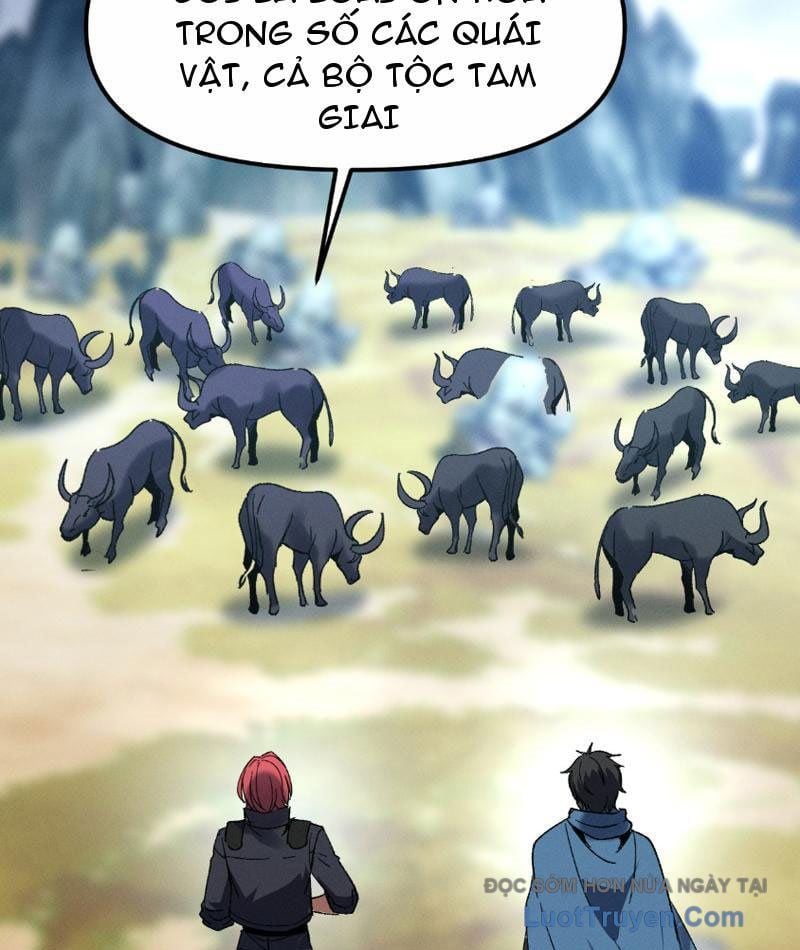 Chapter 13