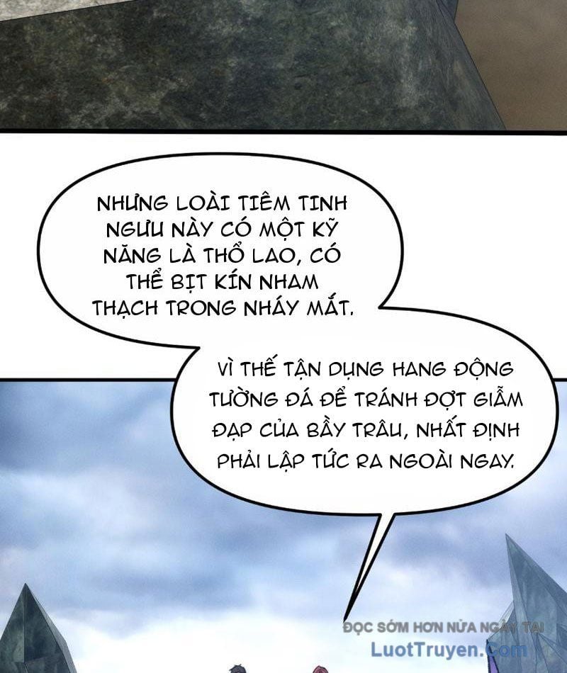 Chapter 13
