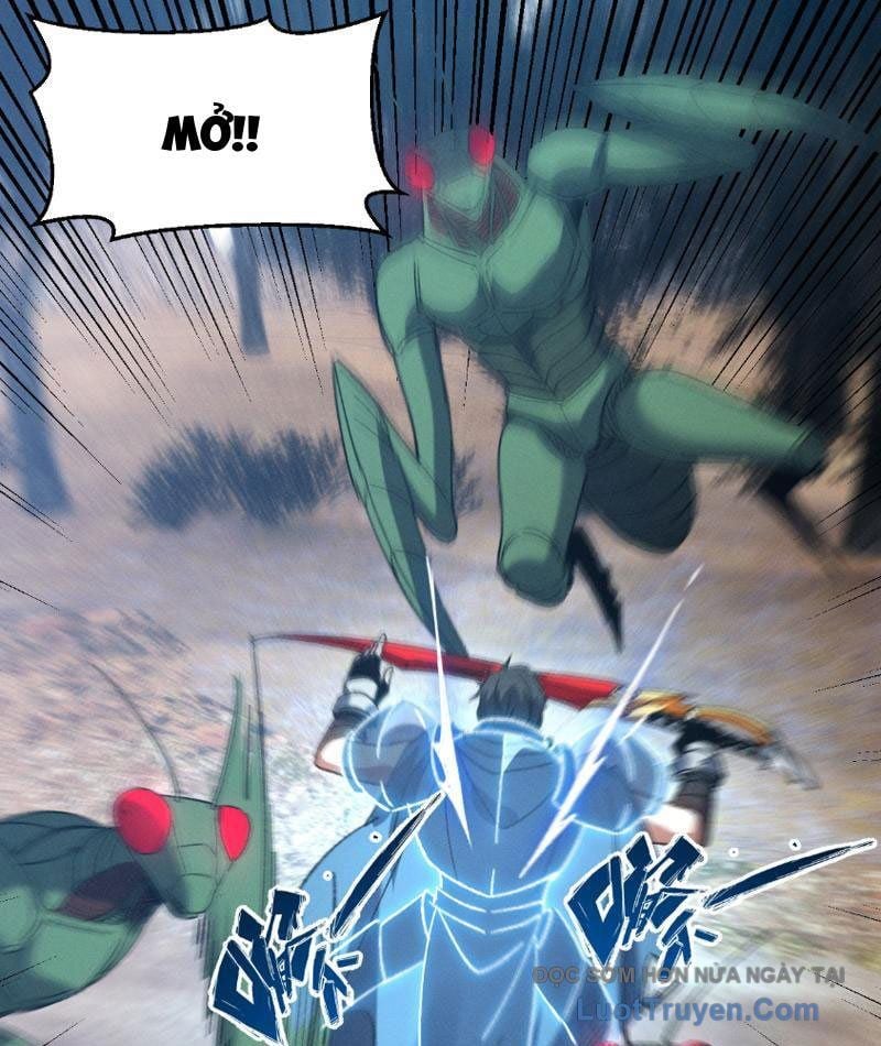 Chapter 13