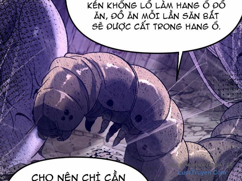 Chapter 14