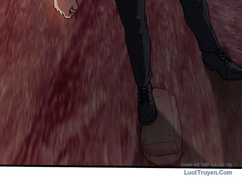 Chapter 15