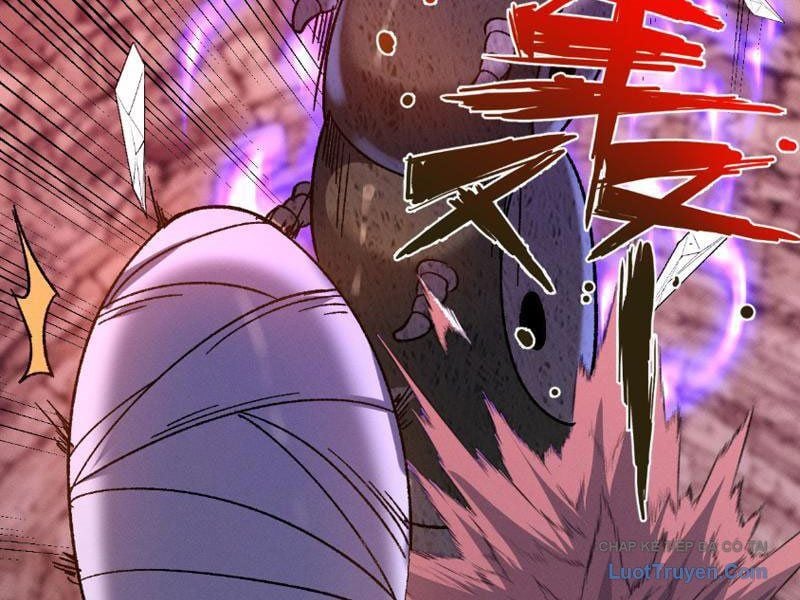 Chapter 15