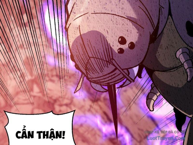 Chapter 15