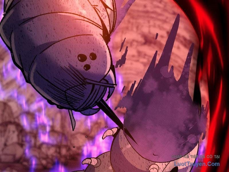 Chapter 15