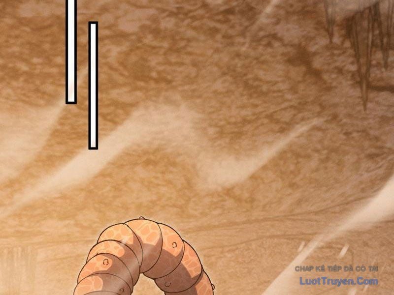 Chapter 16