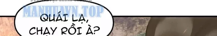 Chapter 17