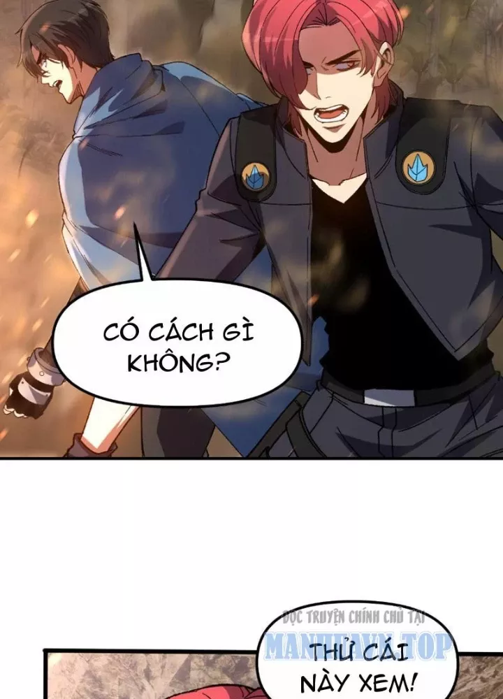 Chapter 17