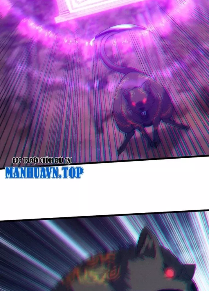 Chapter 17