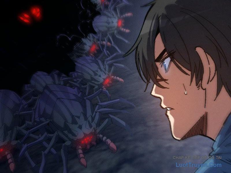 Chapter 19