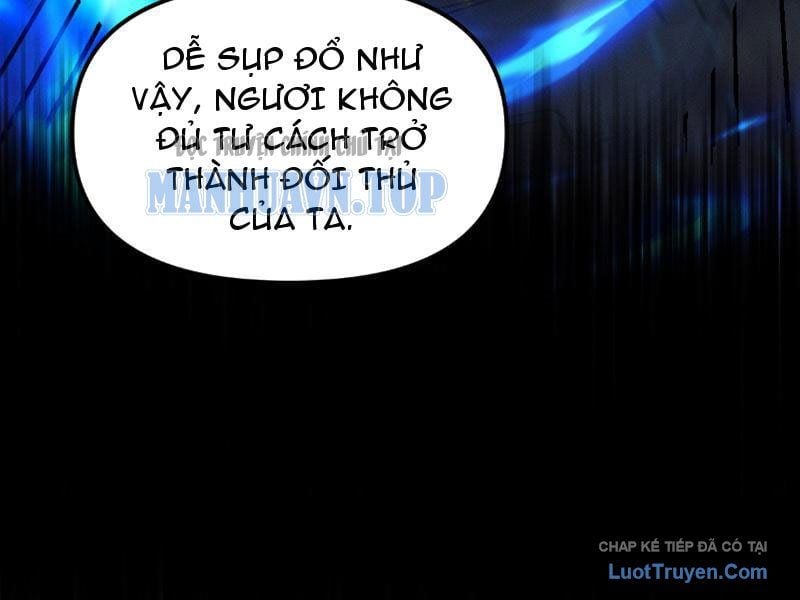 Chapter 19