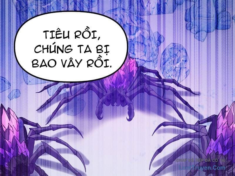Chapter 19