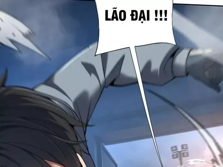 Chapter 33