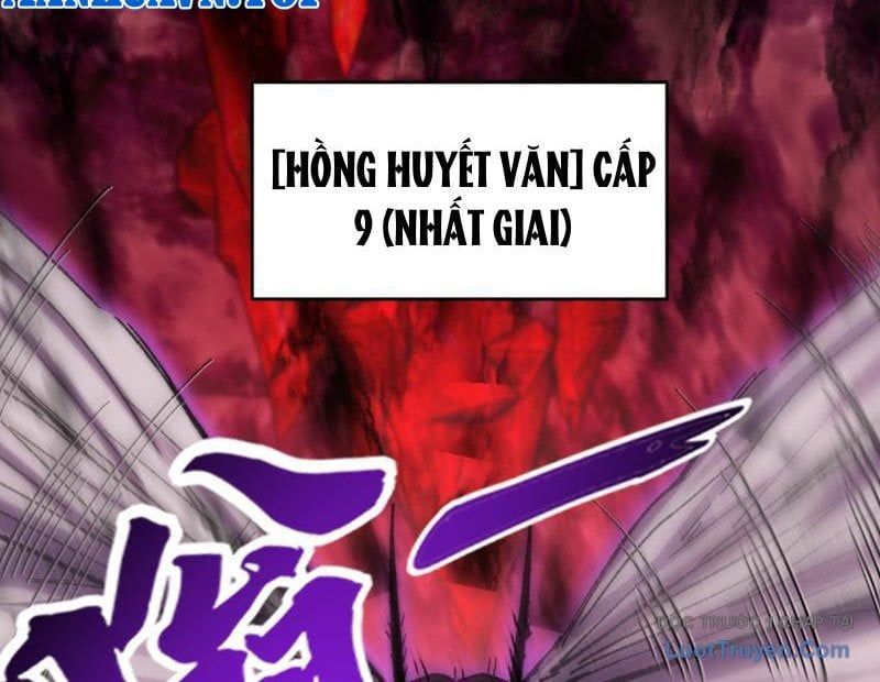 Chapter 5