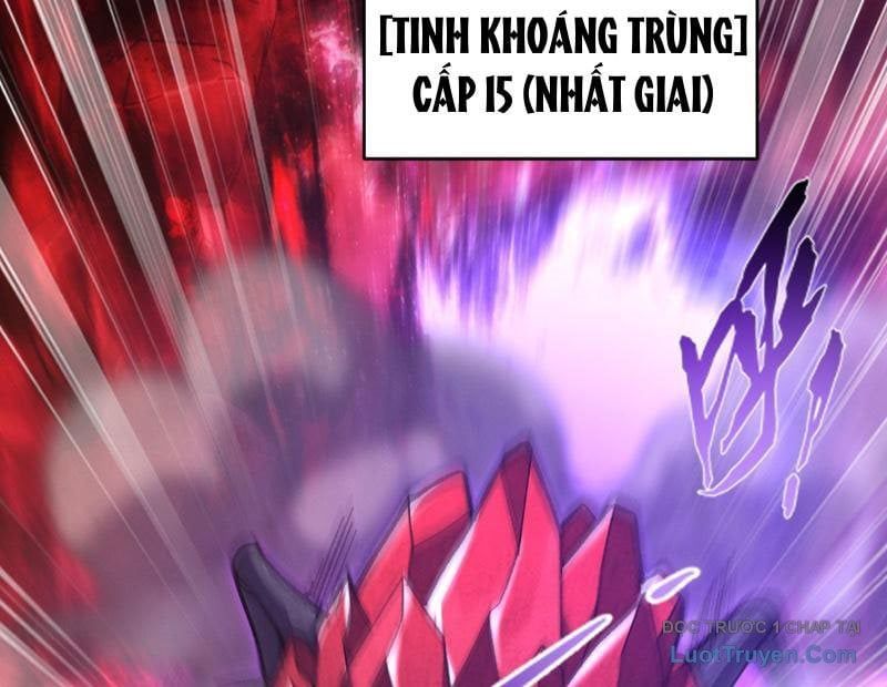Chapter 5
