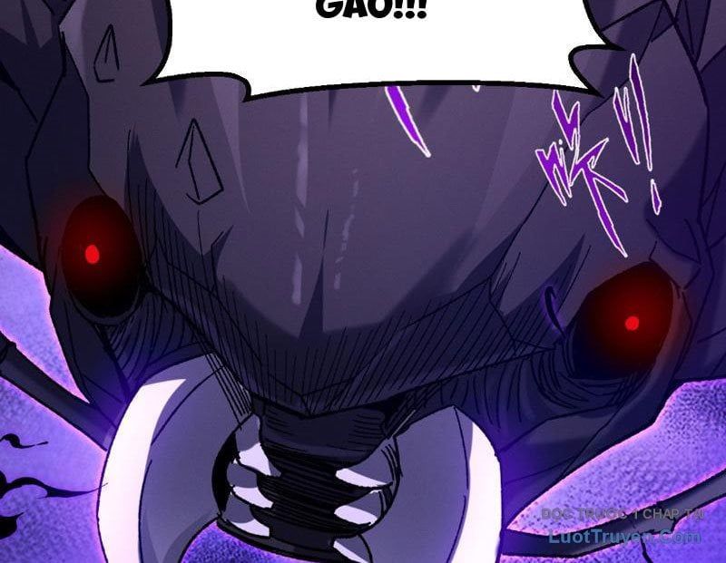 Chapter 5