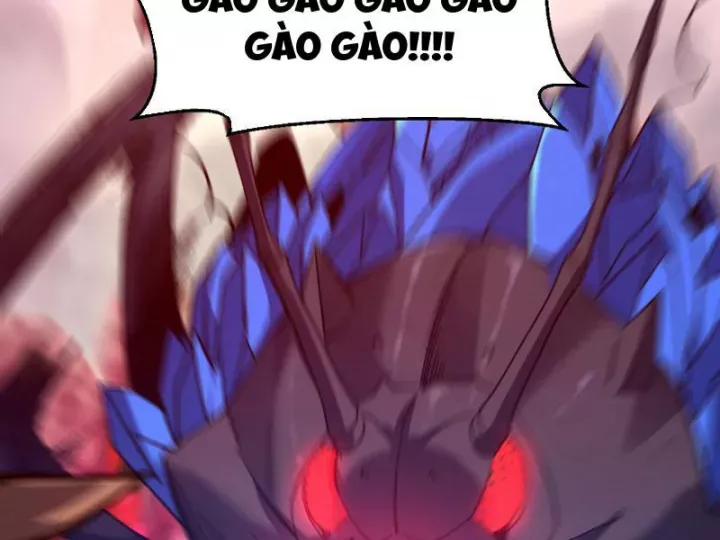 Chapter 6