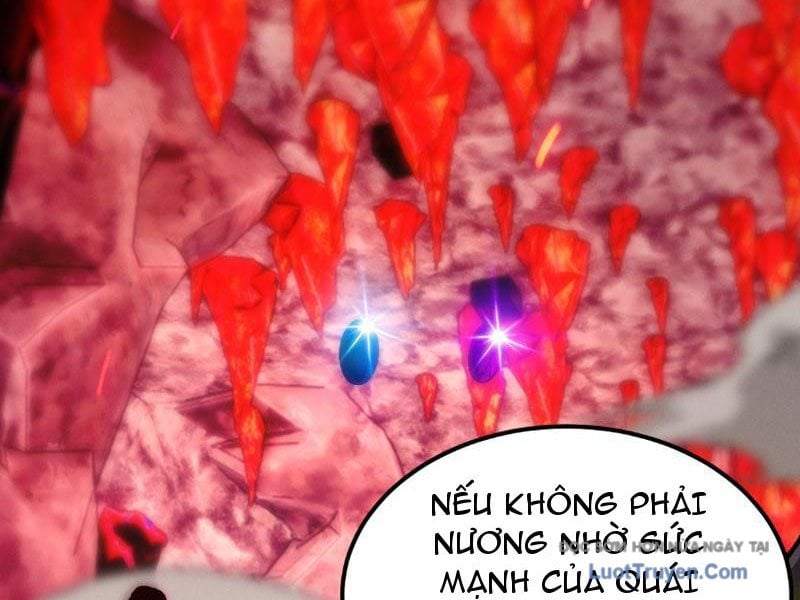 Chapter 7