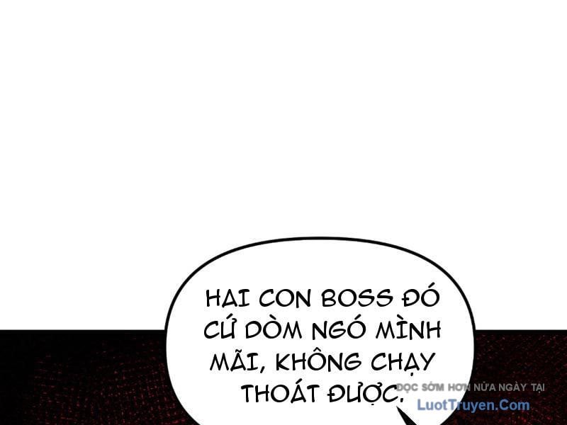 Chapter 7