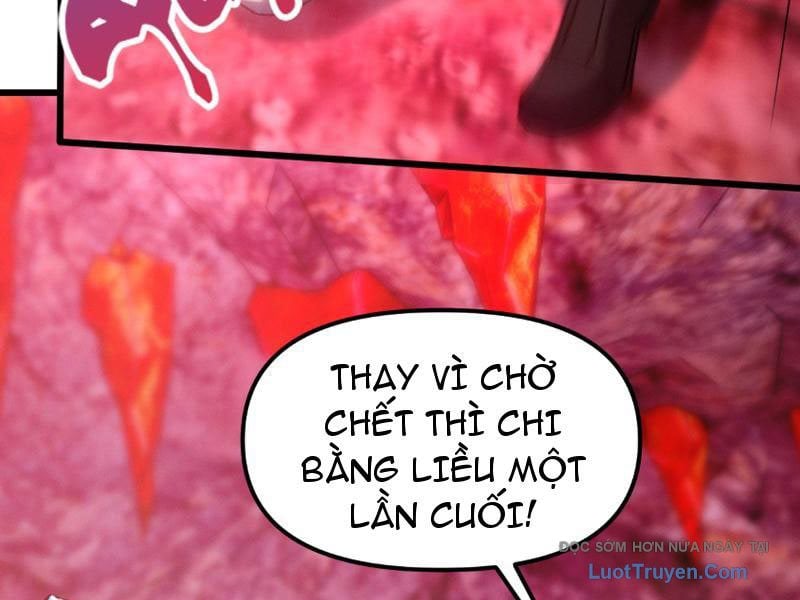 Chapter 7