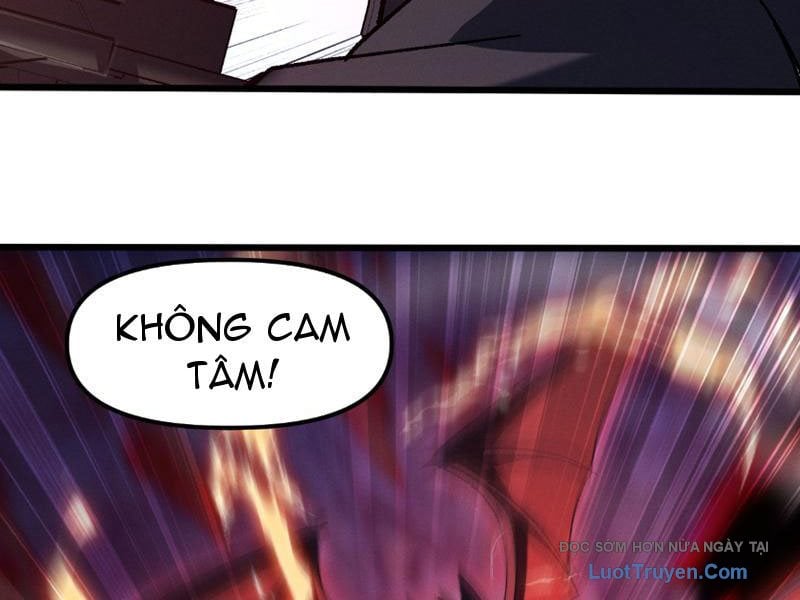 Chapter 7