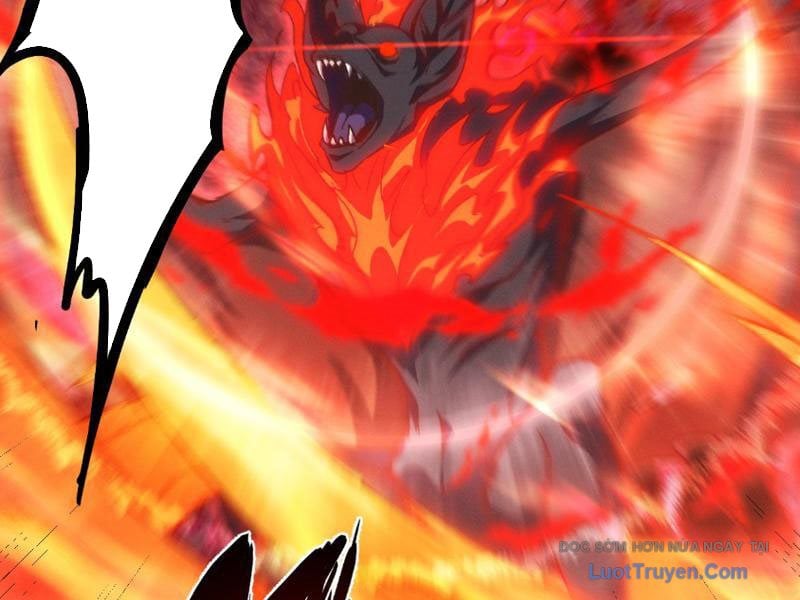 Chapter 7