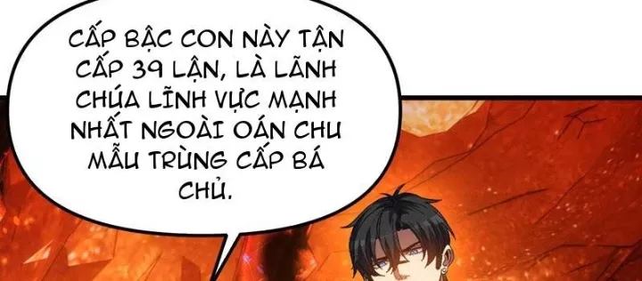 Chapter 10
