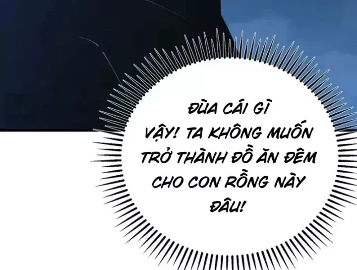 Chapter 11