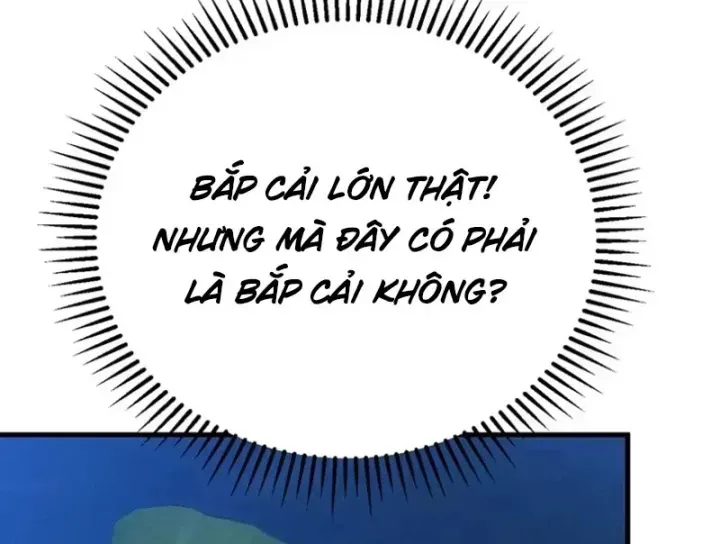 Chapter 11