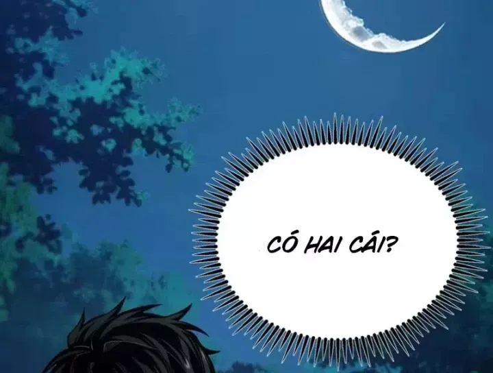 Chapter 11